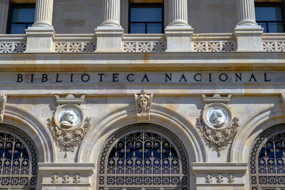 Comitê Nacional de Startups: o que muda com a nova política de apoio ao empreendedorismo inovador em 2026