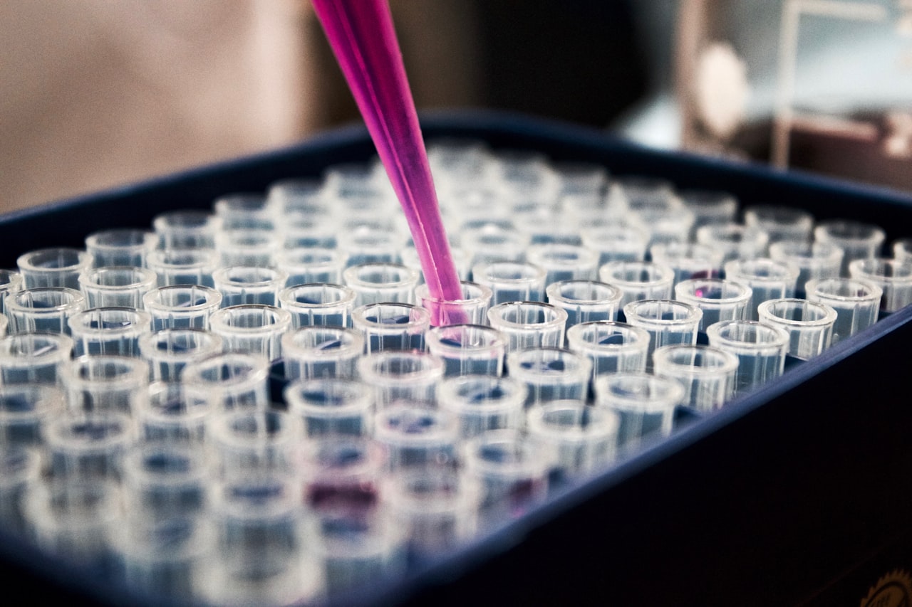 Sandbox Regulatório da ANVISA: o que muda para cannabis medicinal e biotecnologia no Brasil